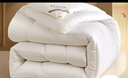 富安娜 舒暖 纤维被子冬季被芯 双人磨毛冬厚被 约7斤 230*229cm 白色 实拍图
