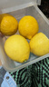 优味集进口新奇士柠檬【JD顺丰现货速发】新鲜南非黄柠檬生鲜水果整箱 5斤 商超级大果（单果120g+） 实拍图