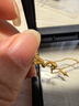 周六福蛇来运转黄金项链女生肖蛇吊坠新年生日礼物计价A0613100 约3.61g 实拍图