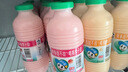 李子园成毅同款甜牛奶乳饮料草莓味225ml*20瓶营养早餐奶整箱年货送礼 实拍图