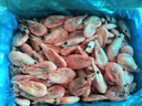 美加佳熟冻北极甜虾腹籽净重3斤 90/120规格   熟冻甜虾 海鲜水产 实拍图