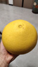 京觅浙江玉环文旦柚 5.5斤 2粒礼盒装 单果2.4斤+ 生鲜水果 源头直发 实拍图
