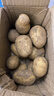 仙果春天土豆新鲜2025新土豆农家马铃薯黄皮黄心包邮 土豆3斤 实拍图