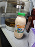 李子园【成毅代言】甜牛奶乳饮料哈密瓜味225ml*20瓶早餐奶过年送礼黑五 实拍图