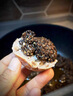 星云湖香格里拉黑松露猪拱菌野生菌礼盒装生鲜蔬菜米其林高端年货送礼 黑松露12-15cm500g【万里挑一丨臻选送礼】 实拍图