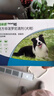 福来恩（FRONTLINE）狗狗进口驱虫药 中型犬去跳蚤蜱虫滴剂 1.34ml*3支装 实拍图