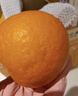 京鲜生 四川爱媛38号果冻橙 净重5斤 单果150g起 生鲜柑橘桔子水果礼盒 实拍图