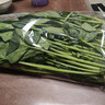 大菠菜300g 实拍图