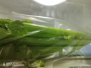 有机芹菜（西芹）400g 实拍图