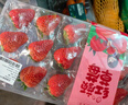 【超值】丹东红颜草莓300g（单果18g） 实拍图