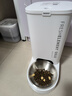 小佩智能自动喂食器SOLO白色 定时定量猫咪自动投食器(支持鸿蒙智联) 实拍图