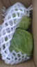高原夏菜新鲜包菜卷心菜绿甘南菜甘蓝圆白菜时令蔬菜健康营养早餐 3斤带箱农家好菜 实拍图