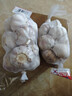 山东金乡蒜大蒜出口标准精选大蒜头蔬菜调料单果5cm 出口标准网兜装箱 925g 5-5.5cm特大 实拍图