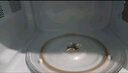 威力（WEILI）20L快捷家用微波炉家用小型高效速热旋钮操控简易操作易清洁内胆20MX68-L 实拍图
