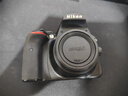 尼康\/Nikon D3200 D3400 D5300 D5600二手单反相机入门级半画幅高清旅游 尼康D3400 尼康18-55镜头【满足日常拍摄】 95成新 实拍图
