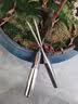 福利达不锈钢小耙子盆景松土神器家用盆栽换盆园艺种花除草工具赶海二齿 实拍图