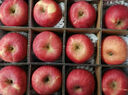 冉沃优选陕西洛川红富士苹果当季新鲜水果脆爽多汁果肉细腻源头直发整箱 净4.5斤精选中大果  75-80mm果径 实拍图