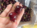 京鲜生 智利车厘子2J级5斤礼盒装果径约28-30mm  水果年货礼盒 送卡尺 实拍图