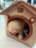 阿柴与猫封闭式猫窝大房子小型犬狗窝睡觉猫狗屋可拆洗四季通用宠物窝 实拍图