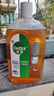 滴露（Dettol）消毒液洗衣衣物消毒水750mL 除螨杀菌春节大扫除 灭杀甲流感 非84 实拍图