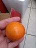 果果牛湖南麻阳冰糖橙 应当季新鲜水果手剥甜橙子高山夏脐血多汁 可选 5斤超值装(50-60mm) 实拍图