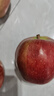 京鲜生 甘肃天水花牛苹果 又大又红 净重4斤 单果160g起  新鲜水果  实拍图