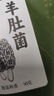 半山农云南羊肚菌50g 云南特产干货菌菇汤包滋补煲汤料非野生特级 实拍图