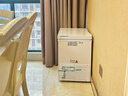 北极熊（BEIJIXIONG）冰柜家用冷柜小型一级能效全冷冻冷藏两用卧式储奶母乳速冻保鲜节能省电100升/200升/300升 单门单温108升【一级能效 全国联保】 108L 实拍图