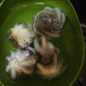 美加佳三去小章鱼净重2斤（500g*2袋）16-26只 去脏八爪鱼 年货聚餐 实拍图