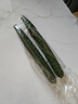 长黄瓜约600g 实拍图