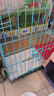 憨憨宠猫笼折叠猫笼子大号猫别墅加粗加密双层猫舍猫窝宠物猫咪用品家用 蓝色 700双层 实拍图