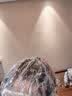 哈尼罕海娜粉遮盖白发天然植物养发护发粉指甲草花粉不刺激女士盖白零敏 哈尼罕草本养发粉【新款】 实拍图