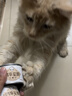 多特思鲜肉乳鸽猫罐头多种维生素主食猫粮增肥慕斯肉泥猫湿粮 【爆款直降】鸽肉口味60g*6罐 实拍图