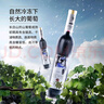 长白山 葡萄酒冰酒冰红葡萄酒甜型红酒新年礼物女士水果酒500ml单支装 实拍图