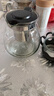 一壶四杯茶壶套装 大容量玻璃茶杯带滤网耐高温水壶茶具无底座 1000ML一壶+四杯套装 1件 实拍图
