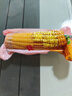 精品有机黄糯玉米 花糯玉米彩糯新鲜糯玉米真空装包 【4种玉米】黄花白黑各1支 均重＞180g 实拍图