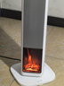 京东京造高塔式火焰壁炉石墨烯取暖器/暖风机/电热取暖器/电暖气 810mm加高机身 负离子 智能恒温 金乌 实拍图