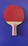 红双喜（DHS）乒乓球拍SH直拍对拍07训练娱乐两拍套装+乒乓球 实拍图