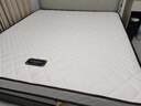 海马飞雪床垫席梦思天然椰棕乳胶独立弹簧床垫酒店厚薄双人家用榻榻米垫子 15cm双面款(乳胶+独立弹簧+椰棕) 1.5x2米 实拍图