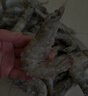 虾有虾途国产青岛大虾白虾青虾基围虾鲜虾冷冻生鲜虾类活冻特大海捕整箱装 17-20厘米超大号 3.6斤(净重) 实拍图