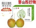 香凝梨园 山西隰县玉露香梨 临汾馆精品水果生鲜梨隰县特产礼盒装 12颗大果约9斤 实拍图
