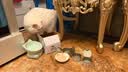 麦斯蒂宠物猫咪零食猫罐头鸡丝金枪鱼浓汤补水成幼猫营养湿粮 85g*8罐 实拍图