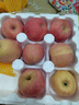 甜醉了 烟台苹果栖霞红富士新鲜水果生鲜山东特产脆甜整箱平果礼盒礼品 净重4.5斤80-85mm 实拍图