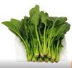 大菠菜300g 实拍图