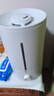 京东京造加湿器空气净化器一体 卧室家用办公室桌面 4.5L大容量 小型立式低噪 迷你雾化器 银离子材料 实拍图