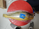 三都港 冷冻黄花鱼2斤/2条装 宁德大黄鱼 生鲜 鱼类 深海鱼 海鲜 年货 实拍图