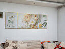 猫九酱奶油风客厅装饰画大气轻奢沙发背景墙挂画花卉卧室床头三联壁画 实拍图