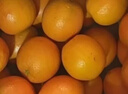 土八鲜赣南脐橙江西橙子赣州脐橙新鲜水果应季水果礼盒 奋斗橙净重4.5-5斤【果径60-69mm】 实拍图