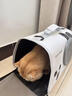 HOUYA猫包外出透气宠物便携包太空舱小猫咪用品 实拍图