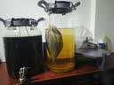 玻绅士泡酒容器泡酒专用瓶泡酒玻璃瓶高硼硅泡酒瓶玻璃酒坛大容量泡酒瓶 20斤B款(10升)+无龙头无架 实拍图